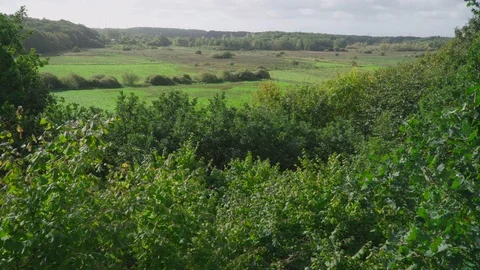 View over the forest and the green meadows behind it Stock Footage 96076354