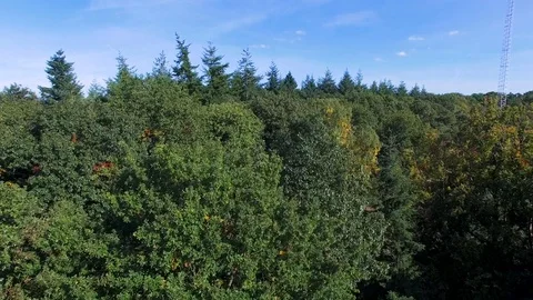 View over a forest Stock Footage 70051062