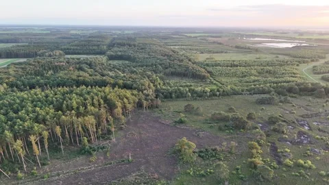 A view over the forest Stock Footage 249016657