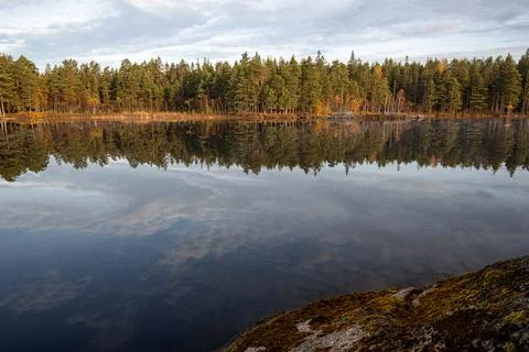 View over forest lake with the trees and the clouds in the sky reflecting i.. Stock Photos