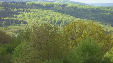 View over the forest in spring Stock Footage 271362406