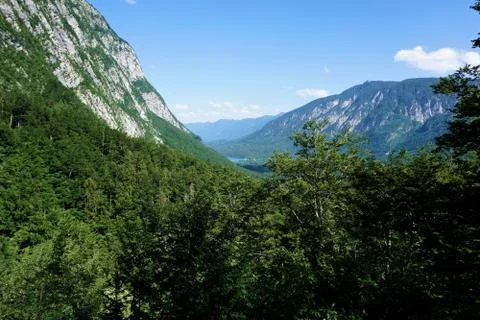 View over forest to Vogel mountain and Lake Bohinj Stock Photos