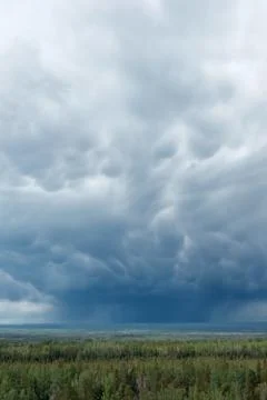 A view over a forested landscape with dramatic looking mammatus clouds formin Stock Photos