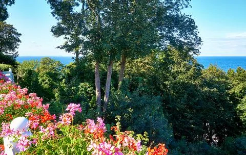 View over the geraniums and trees on the Baltic Sea. In Lohme on the island o Foto stock