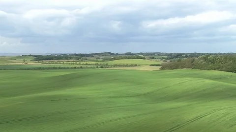 View over green fields and woodland Stock Footage 87400686