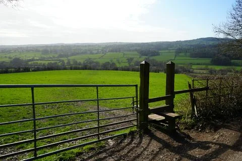 View Over Green Fields, Countryside, Metal Gate And Stile In Wessington, England 库存照片