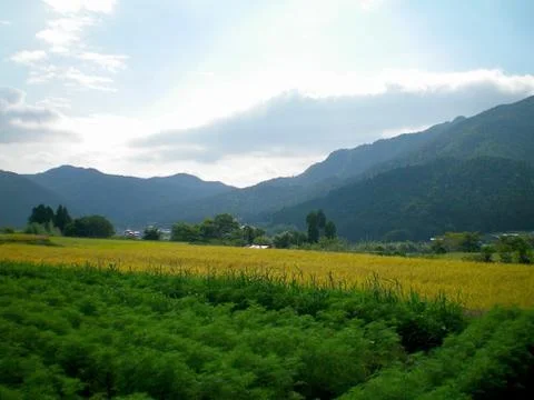 View over green fields to mountains covered in forest. Stock Photos