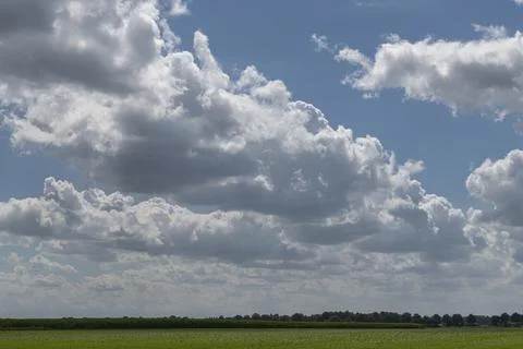 View over green meadows with a corn field Stock Photos