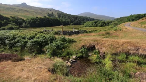 View over Hedgehope hill, The Cheviot Hills, Northumberland Stock Footage 342404682