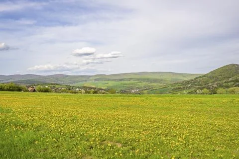 View over the hills with forests and meadows with blooming cherry trees on a Stock Photos