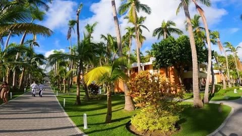 View over Iberostar Bavaro Suits at Punta Cana. Видео 234682877