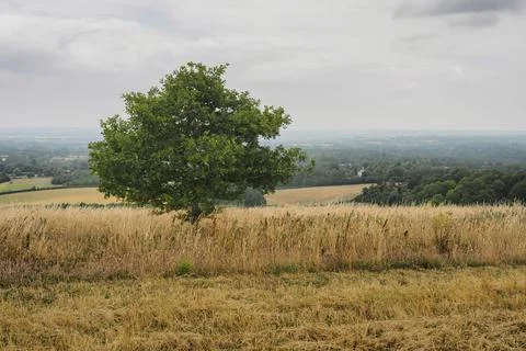 View Over Kennet Valley from Pilot Hill Ridge, Hampshire Stock Photos