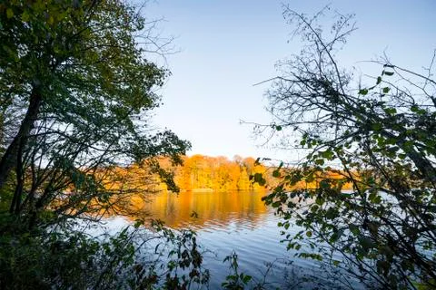 View over a lake in the fall with trees in autumn colors Stock Photos