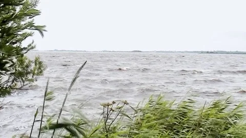 View over the lake by strong wind Video stock 85572878