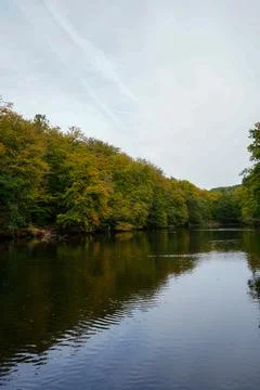View over a lake surrounded by trees 库存照片