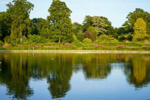 View over a lake surrounded by trees Stock Photos