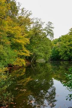 View over a lake surrounded by trees Foto stock