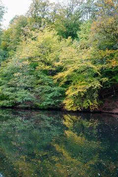 View over a lake surrounded by trees 스톡 사진