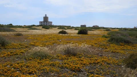 View over the landscape of the small island Tabarca with the white lighthouse. Stock Footage 152856421