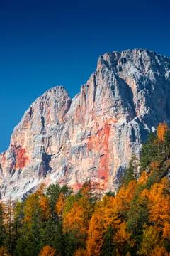 View over larch, pine and spruce forests covering Dolomite Red Peak (Croda Ro Stock Photos