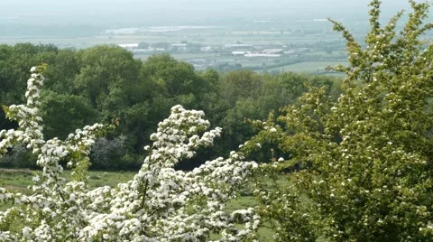 View over lush green Cotswolds landscape, Gloucestershire, UK. Видео 63751237
