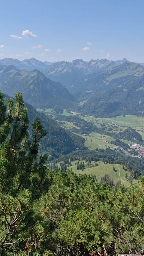 View over mountain pines to the Oberstdorf valley, Allgäu Alps, Bavaria Stock Footage 346368074