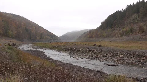 View over the Oder Reservoir in Harz mountain range, Germany Stock Footage 99119037