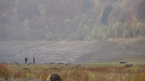 View over the Oder Reservoir in Harz mountain range, Germany Stock-Footage 99119384