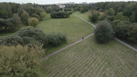 View over the park with a drone walking people green alley in the city of summer Видео 169005515