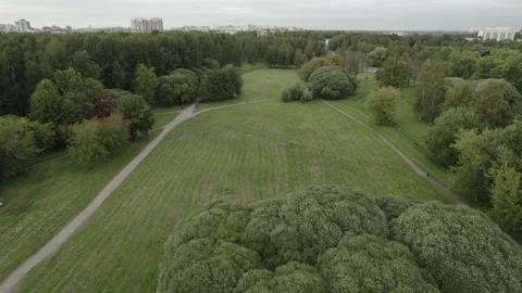 View over the park with a drone walking people green alley in the city of summer Видео 169005587