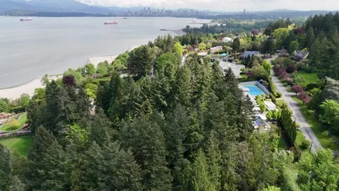 View over the park towards the ships Stock Footage 316408358