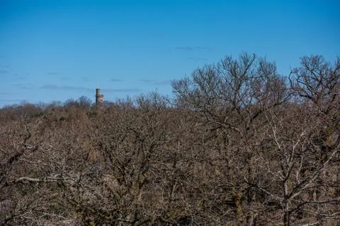 View over a part forest in early spring. A stone tower in the distance. Stock Photos