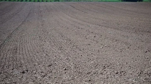 View over a plowed field Stock Footage 115770087