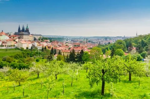 View over prague from strahov monastery Stock Photos