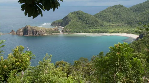 View over rainforest to ocean Video stock 557198