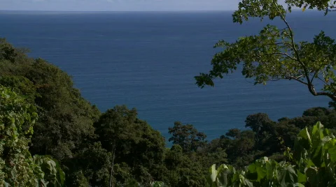 View over rainforest to ocean Video stock 605990