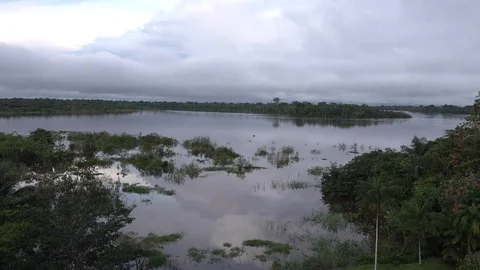 View over river and lowland rainforest canopy Stock Footage 104149490