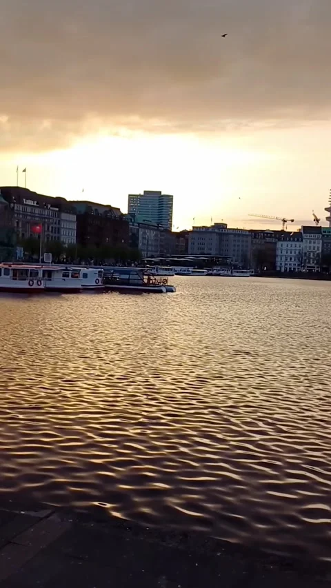 View over river Elbe to the port in Hamburg, Germany. Video stock 247400969
