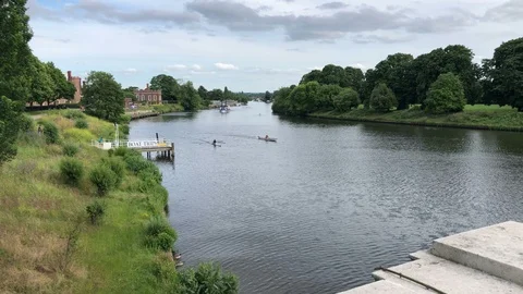View over River Thames from Hampton Court Bridge with Rower approaching Stock Footage 110889679