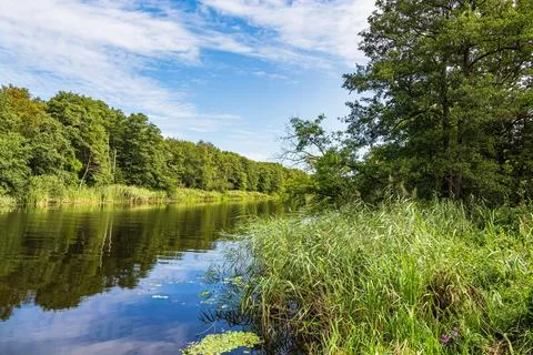 View over the river Warnow with trees and reeds near Papendorf, Germany Stock Photos