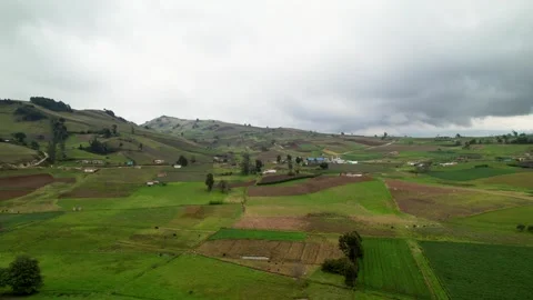 View Over Rows Of Potato Fields - Aerial Drone Footage In 4K Stock Footage 272826271