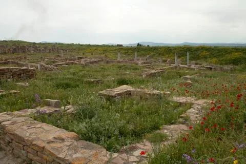 View over ruins in the springtime Stock Photos