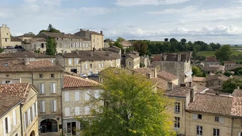 View over Saint Emilion Stock Footage 219325964