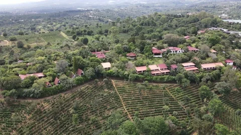 View over a set of buildings in Costa Rica 스톡 동영상 180526471