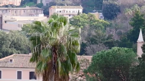 View over skyline and domes of city from Gianicolo hill in Rome, Italy Stock Footage 313751037