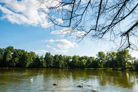 The view over the small rural pond Foto stock