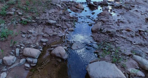 View over small stream and plants in the desert Stock Footage 93723568