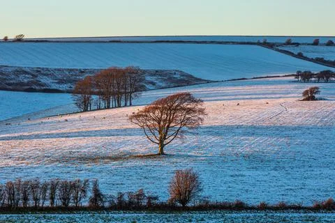 A view over snow covered fields near Ditchling Beacon in Sussex, with eveni.. Stock Photos