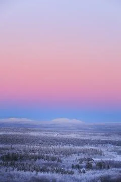 View over snow-covered forests near Kiruna, Sweden Stock Photos