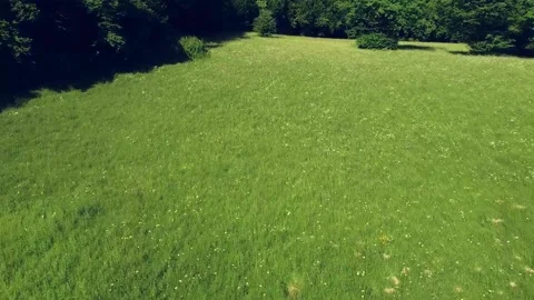 View over the summer green fields from the above. Video stock 218469688